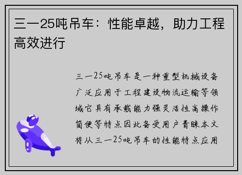 三一25吨吊车：性能卓越，助力工程高效进行