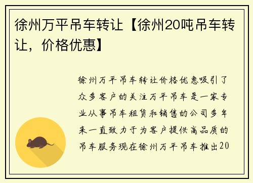徐州万平吊车转让【徐州20吨吊车转让，价格优惠】