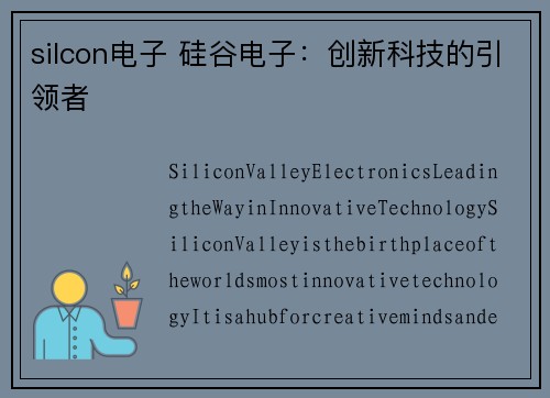 silcon电子 硅谷电子：创新科技的引领者
